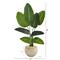 4ft. Travelers Palm Tree in Sand Colored Planter